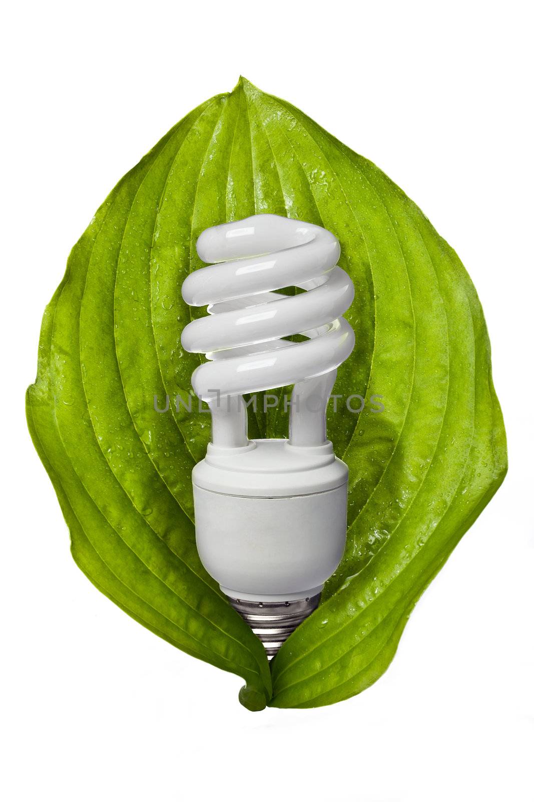 eco friendly fluorescent bulb by kozzi