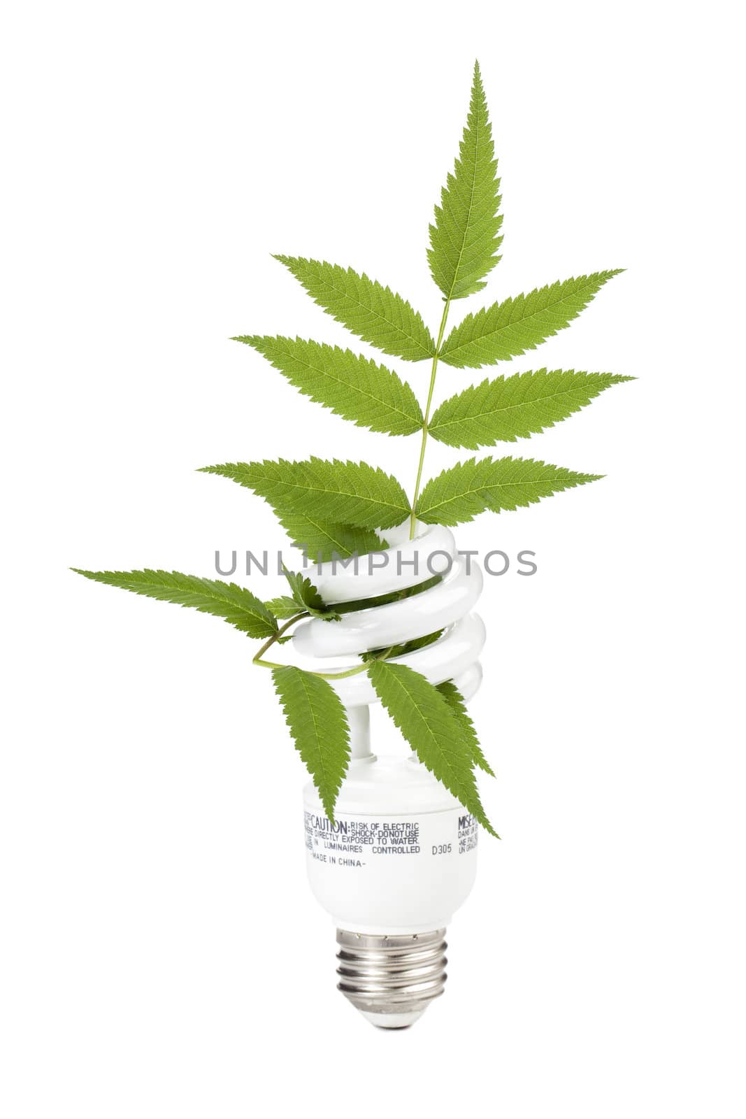 Close up image of eco concept light bulb with leaf against white background