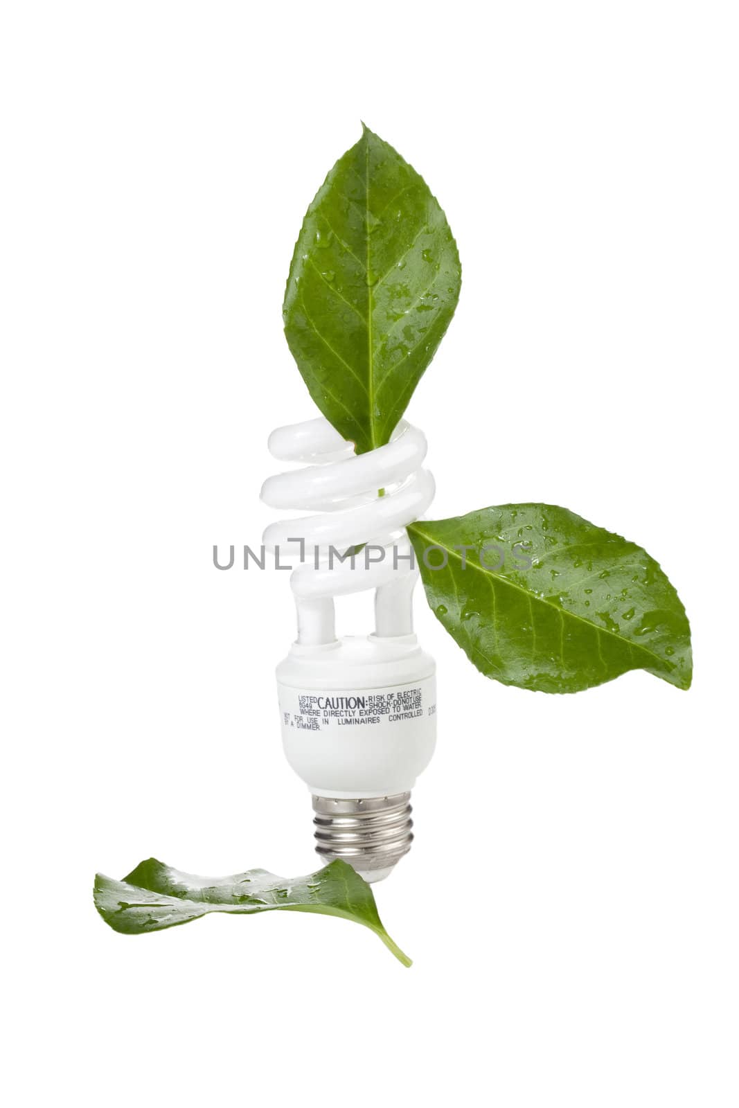 Image of ecological concept light bulb against white background