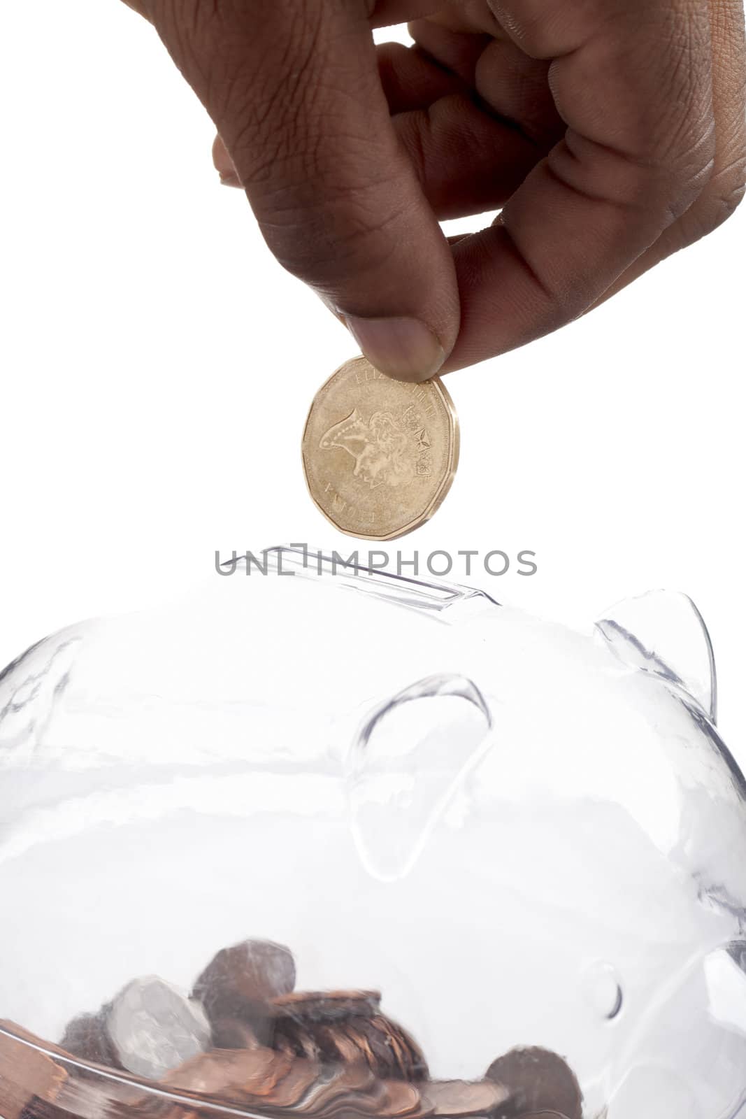 A close-up portrait of a hand dropping a coin on a transparent piggy bank