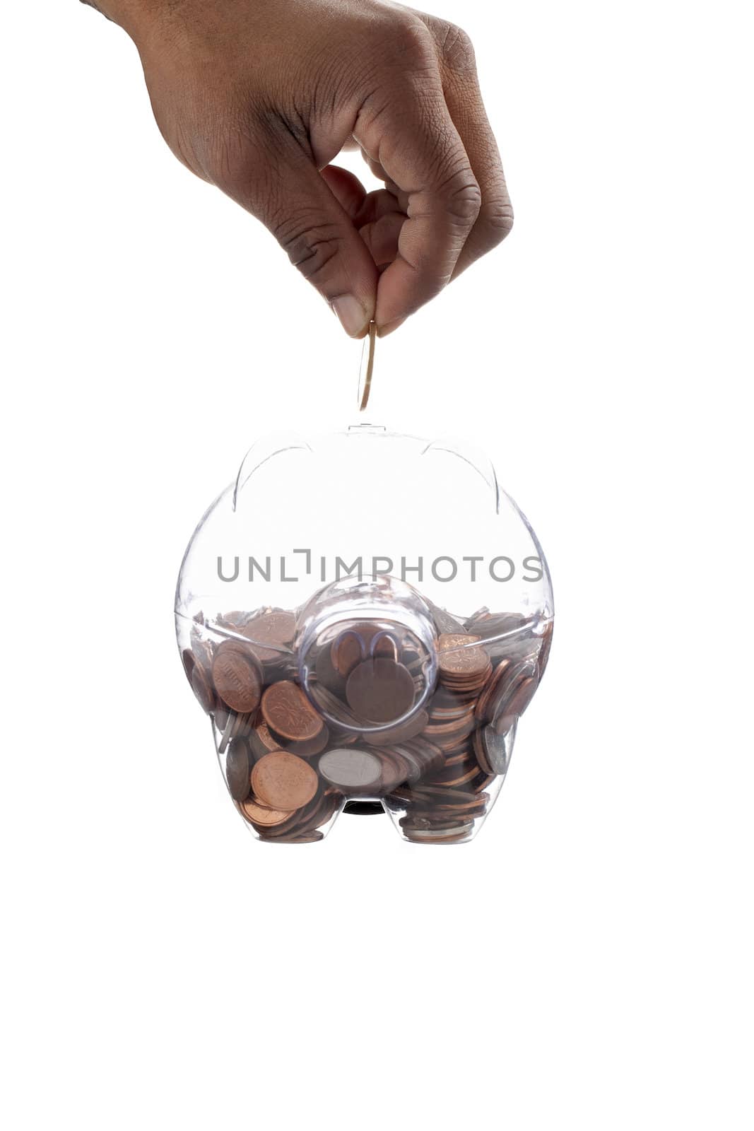 Gold coin inserting on a piggy bank using by the human hand