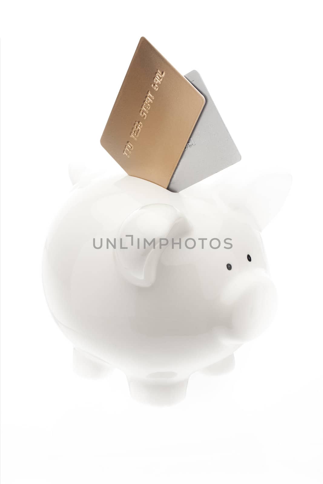 Photo indicates Credit Card debt can take over  life savings