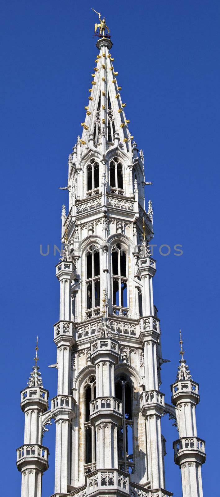 Looking up at the impressive tower Brussels Town Hall/City Hall (Hotel de Ville) located in Grand Place.