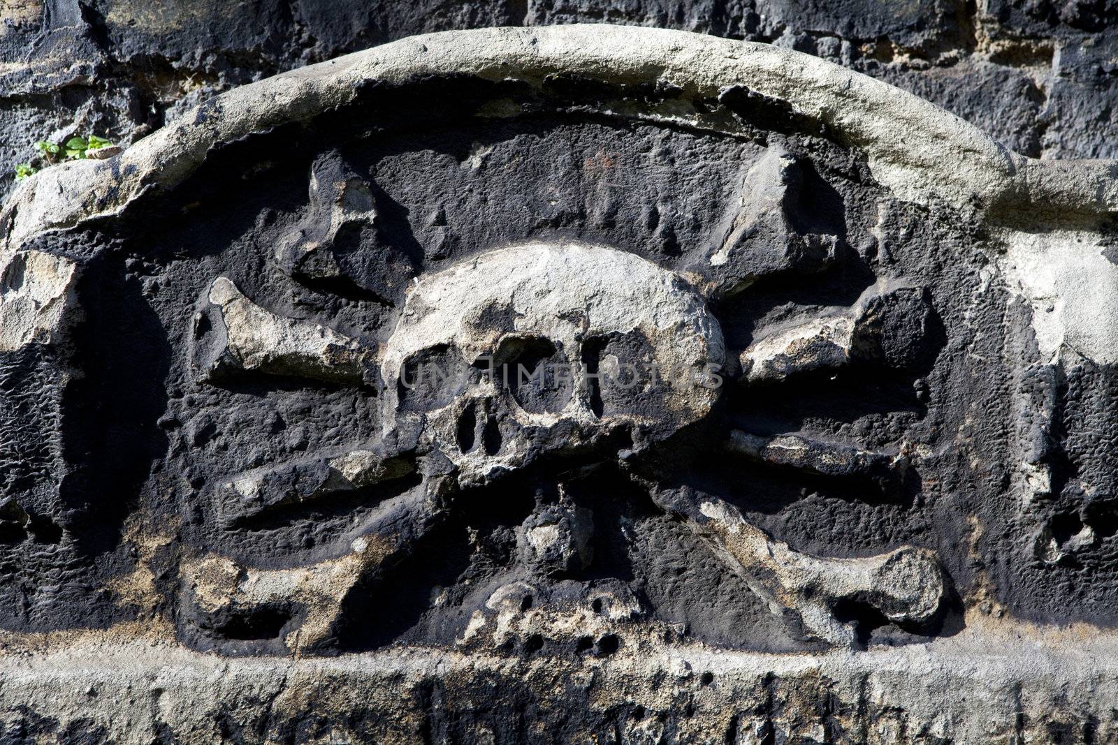 A skull and crossbones carving on a gravestone/headstone in a cemetery.