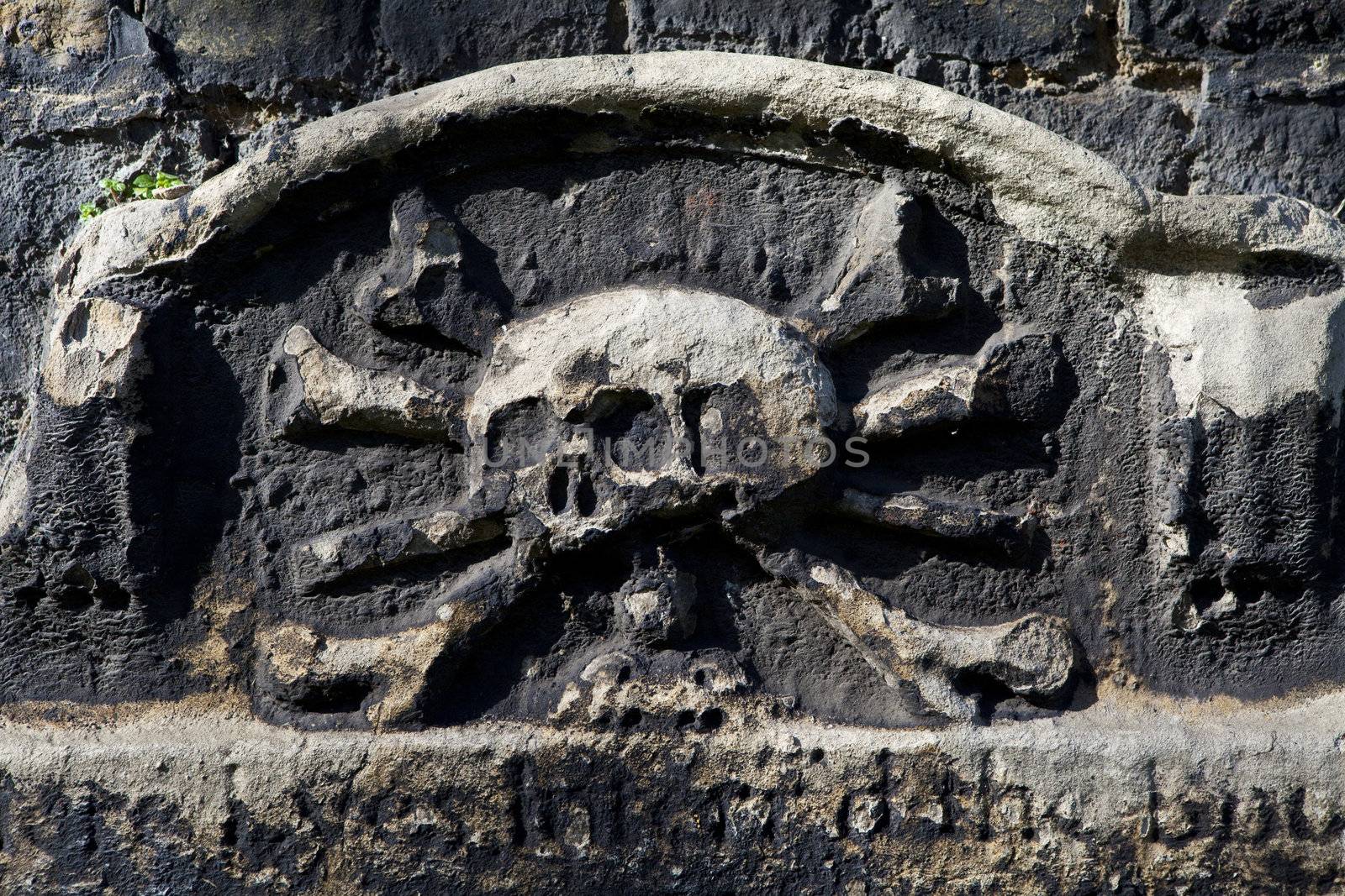 A skull and crossbones carving on a gravestone/headstone in a cemetery.