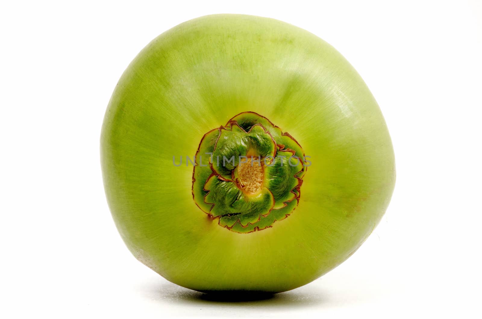 Coconut isolated on white background