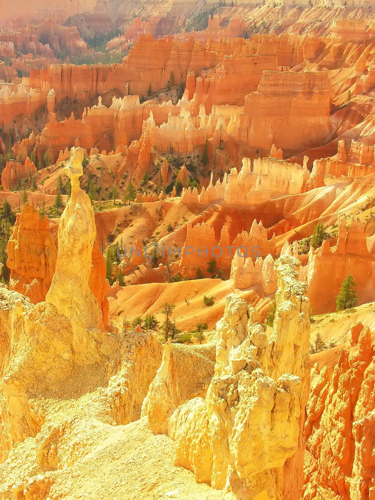 Amphitheater, view from Sunset point by donya_nedomam