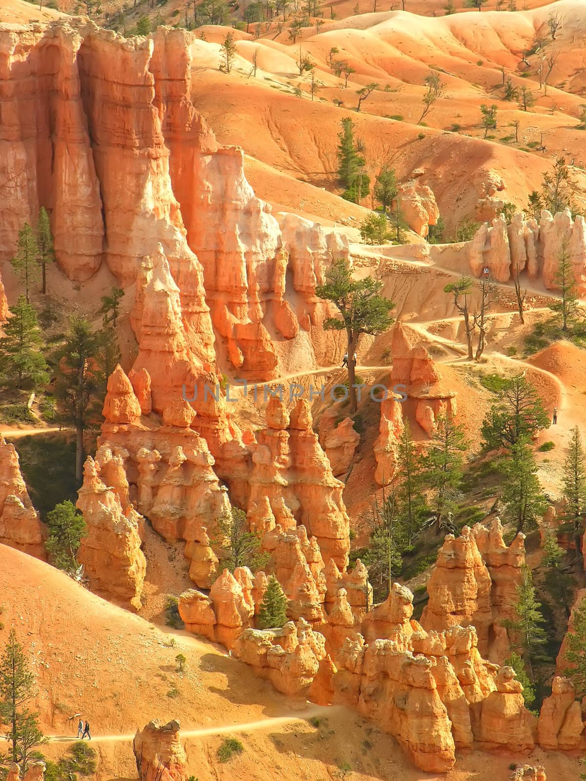 Amphitheater, view from Sunset point, Bryce Canyon National Park, Utah, USA