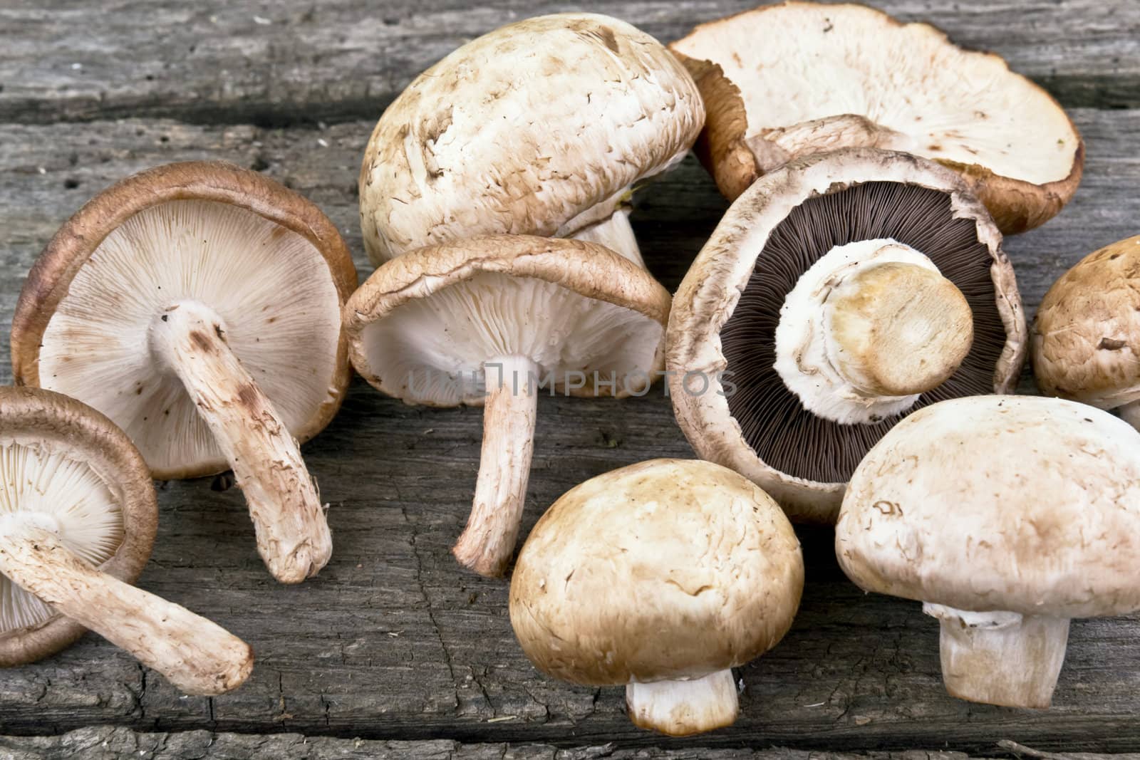 mushrooms on wood kitchen table