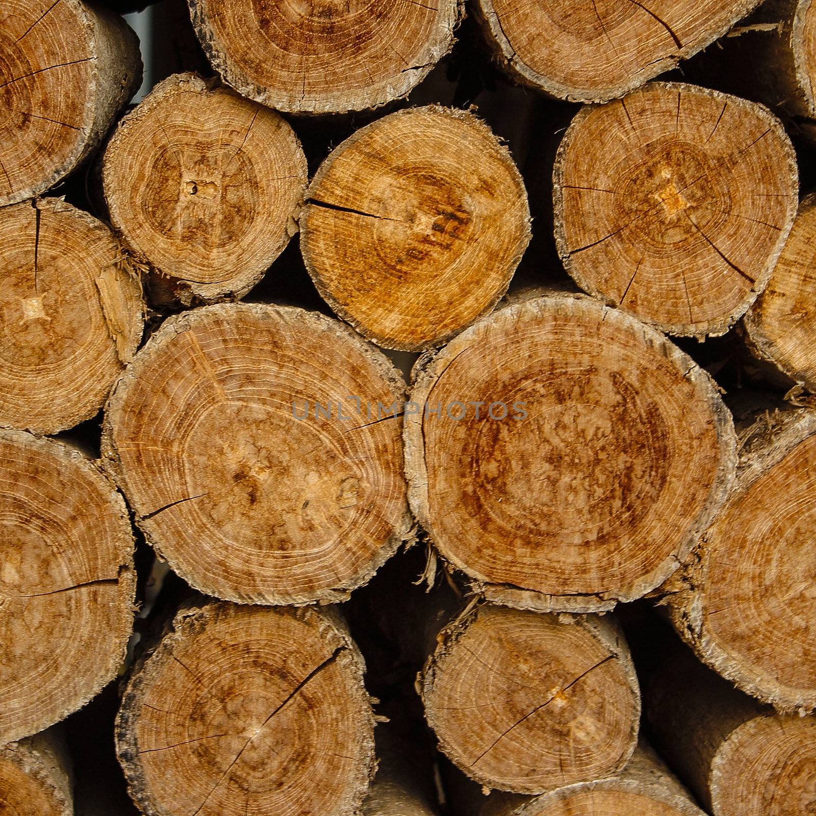 Wood logs background by liewluck