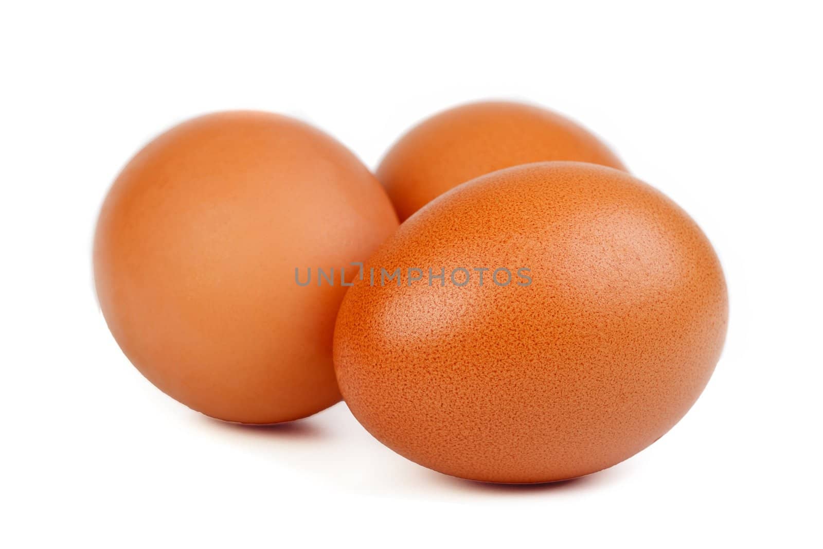 Eggs isolated on white