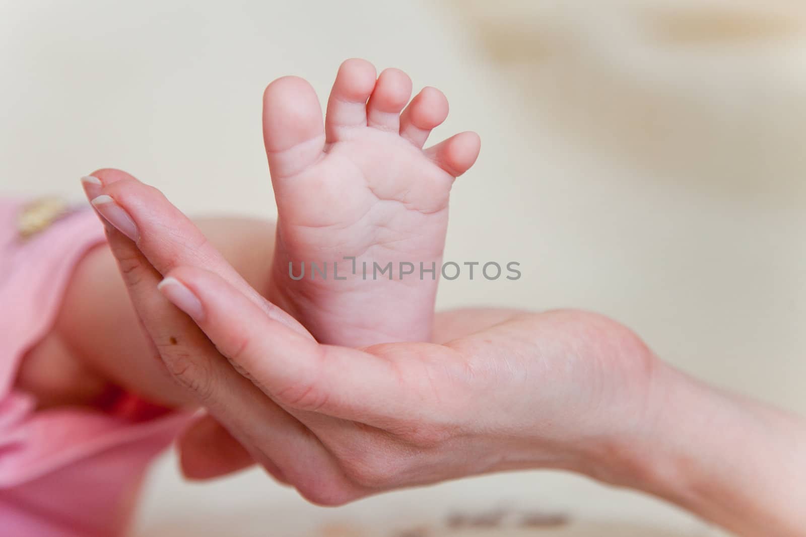 Mothers hand and the Baby`s Feet