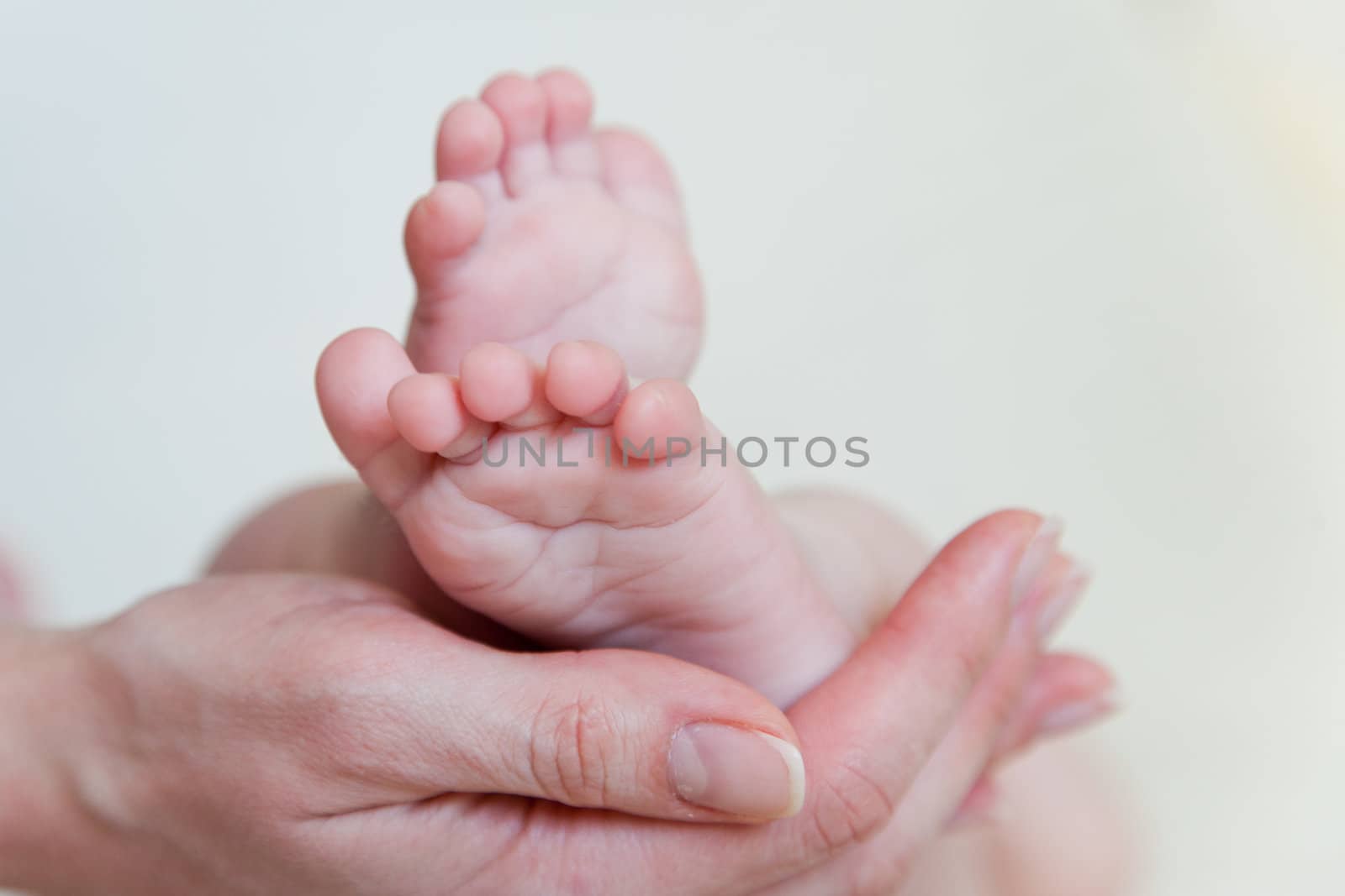 Mothers hand and the Baby`s Feet by mdmmikle