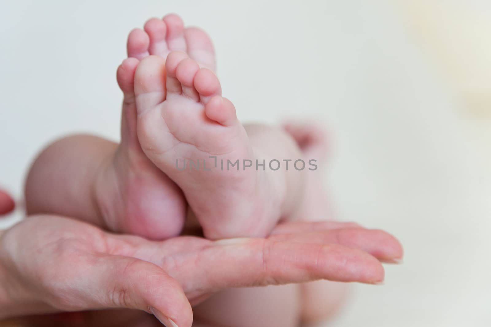 Mothers hand and the Baby`s Feet