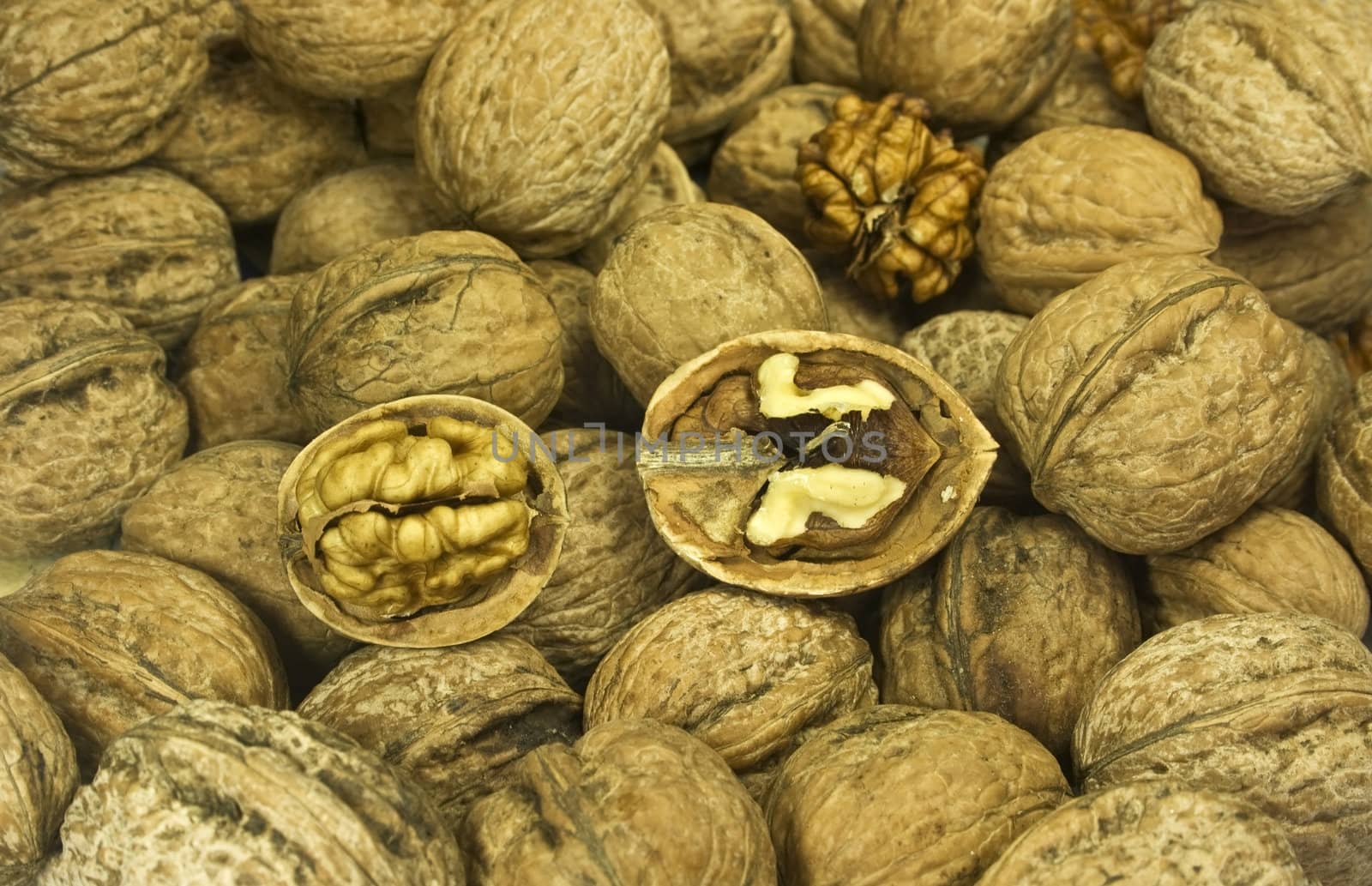 walnuts by minoandriani