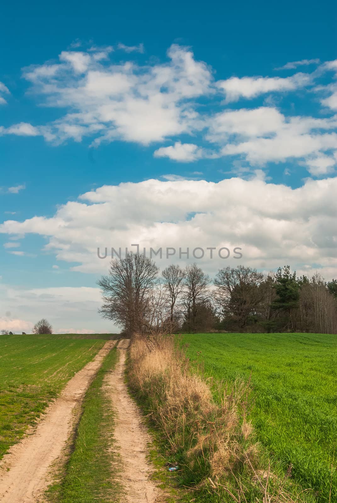 Spring field