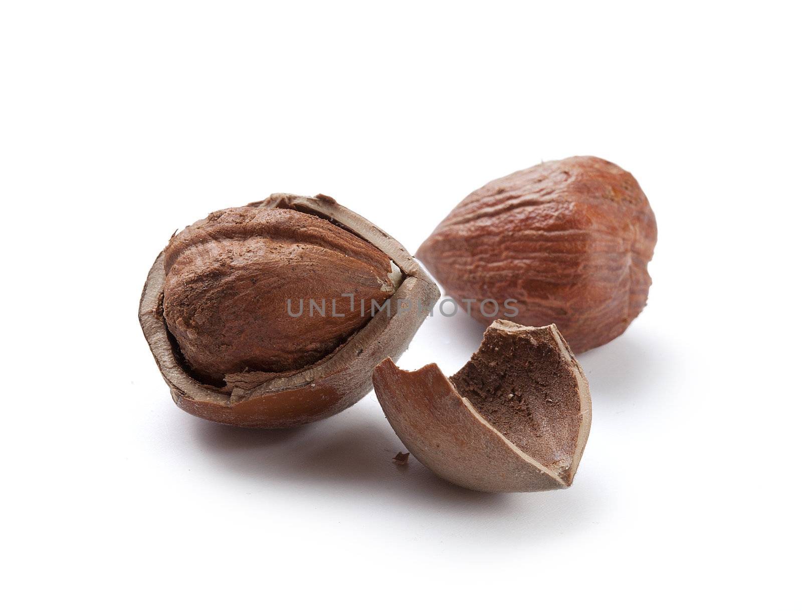 Hazelnut core and nutshell on the white background