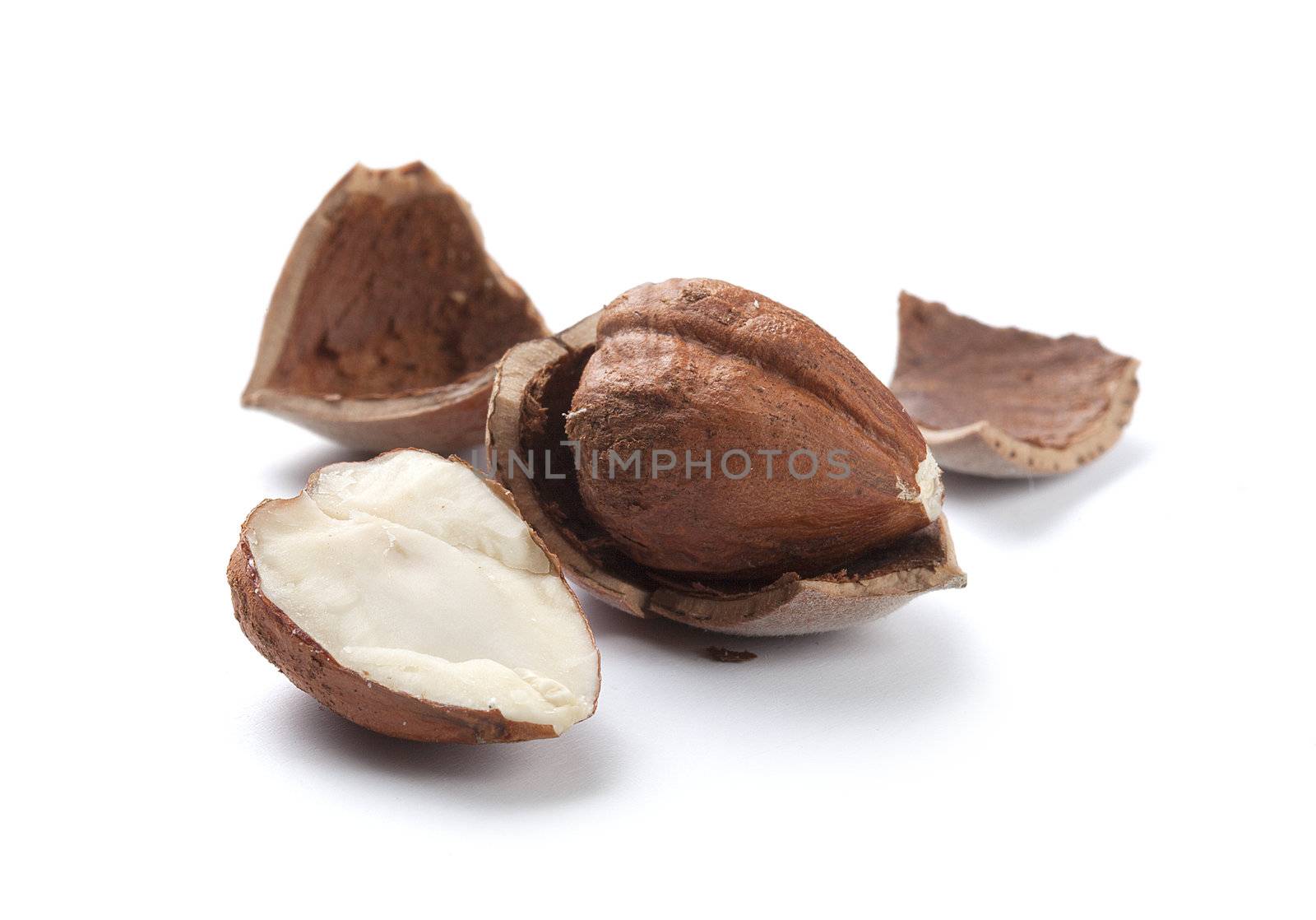 Hazelnut core and nutshell on the white background