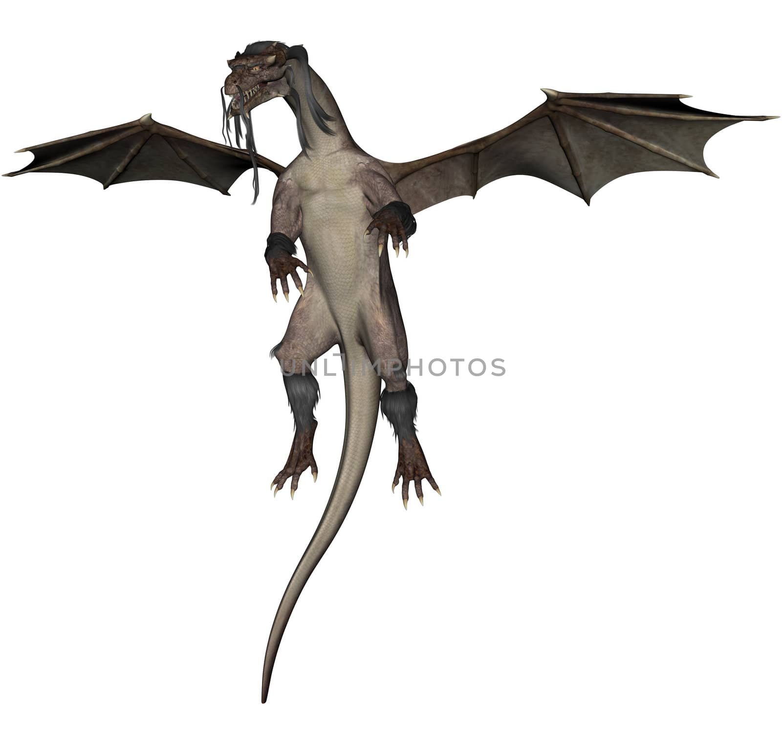 3D rendered flying dragon isolated on white background