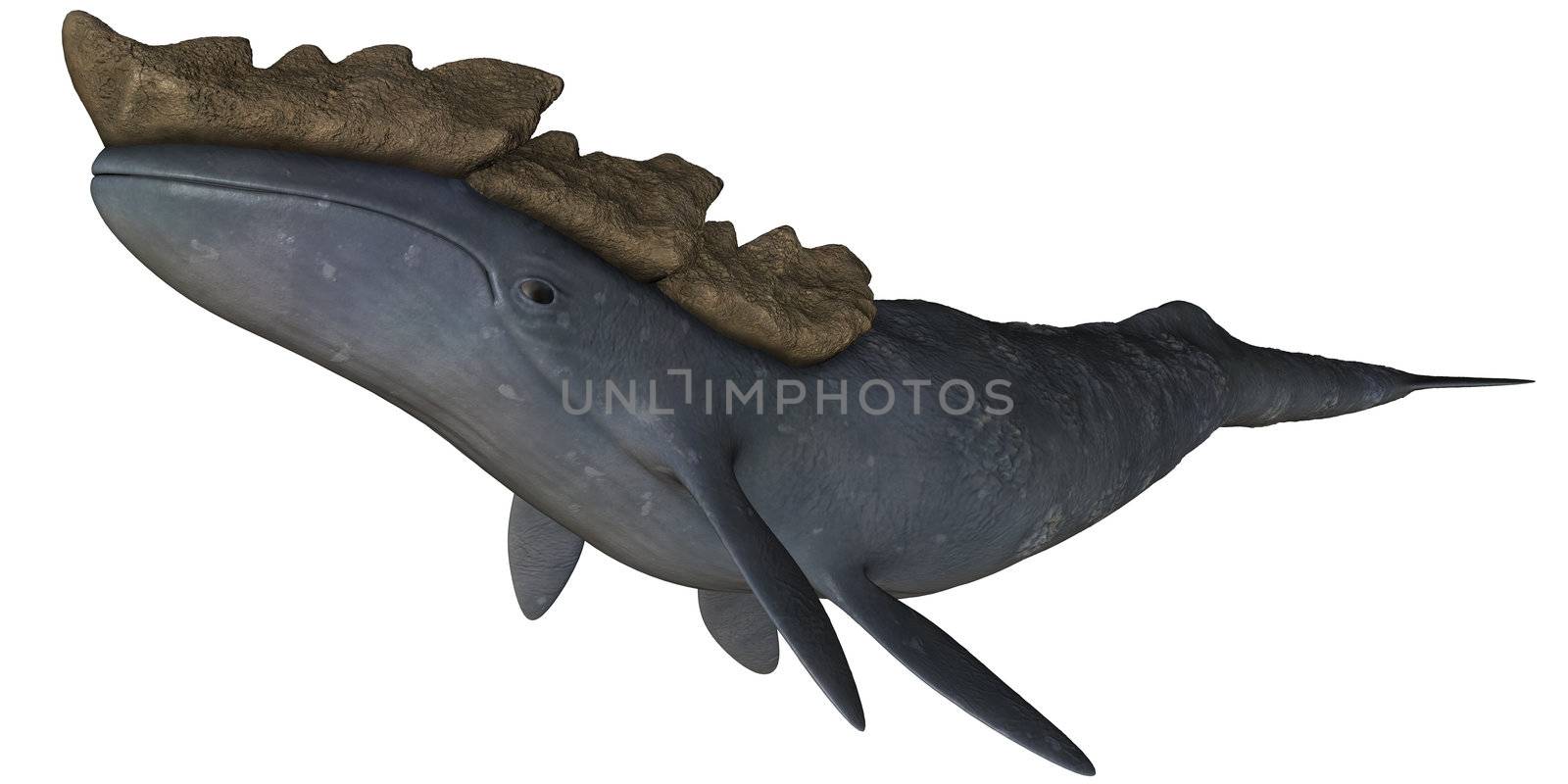 3D rendered leviathan on white background isolated