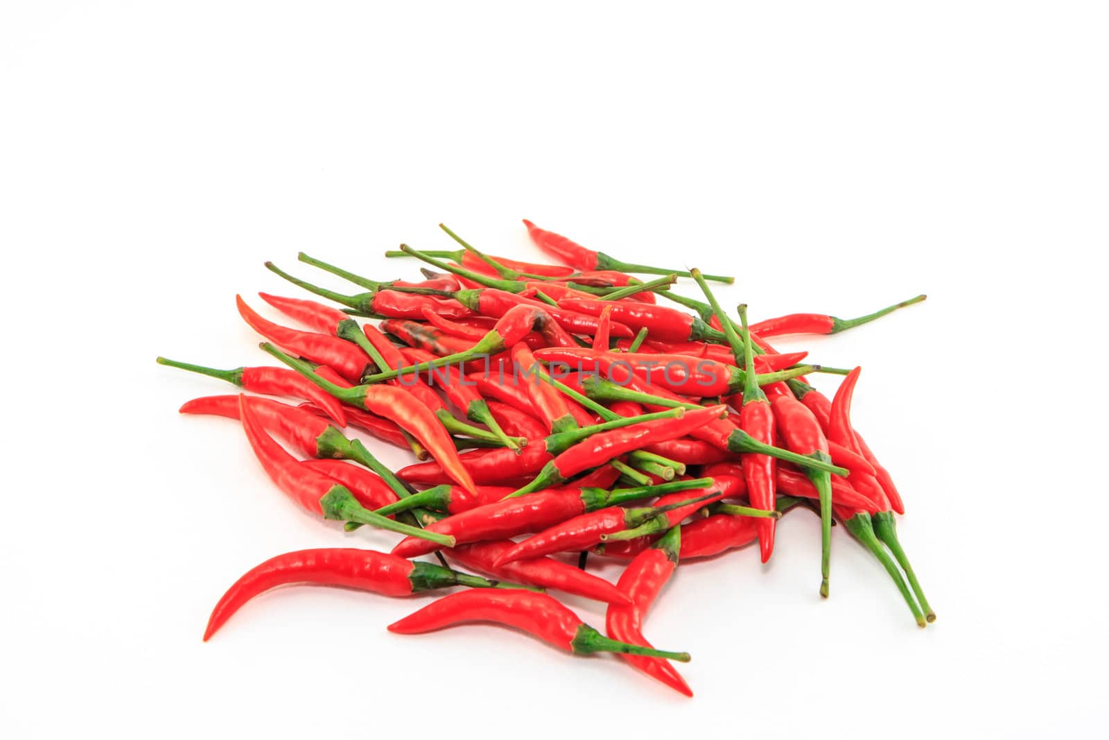 Red Chilli group on white background by bunwit