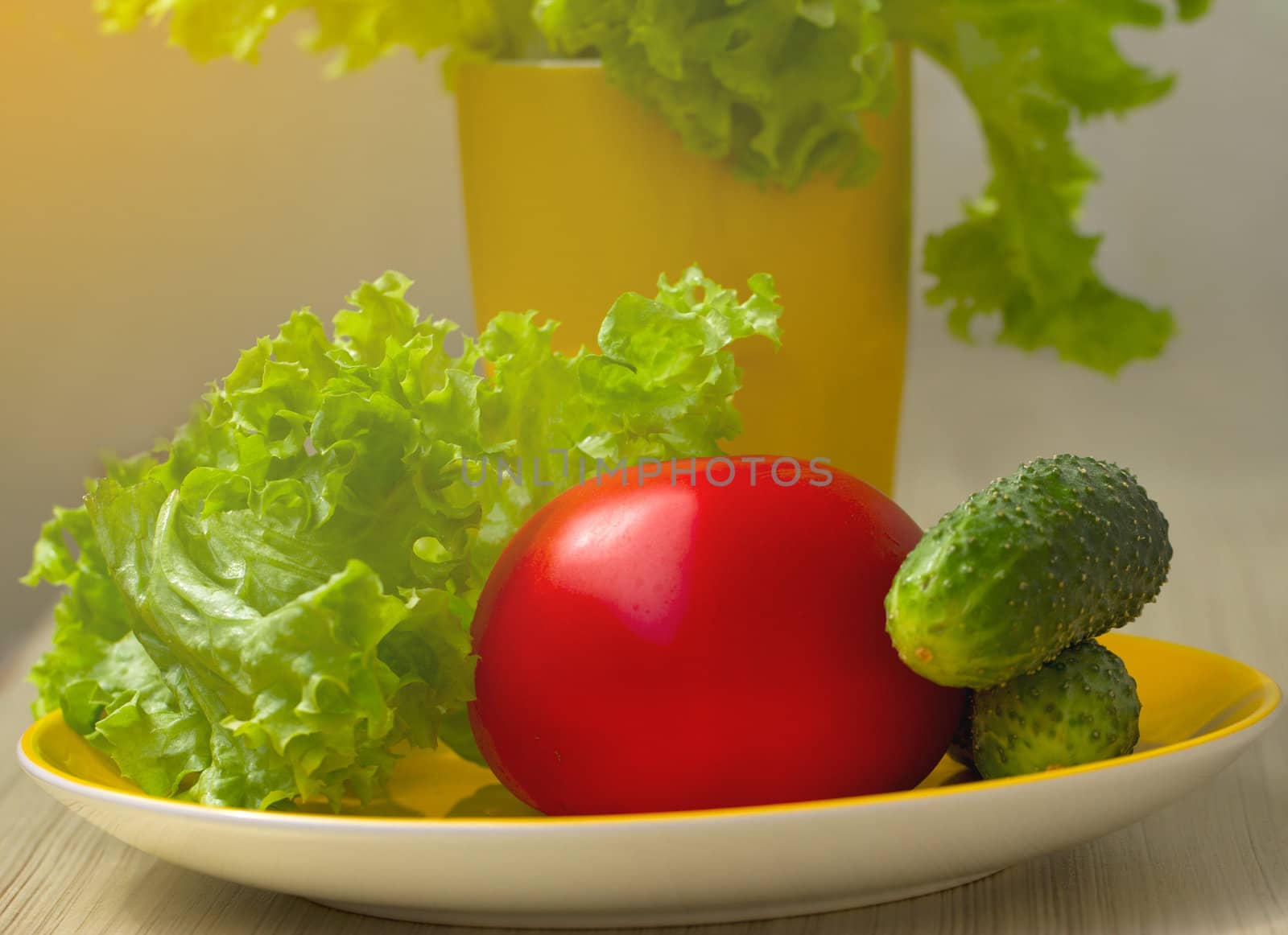 Tomato, cucumber vegetable and lettuce salad