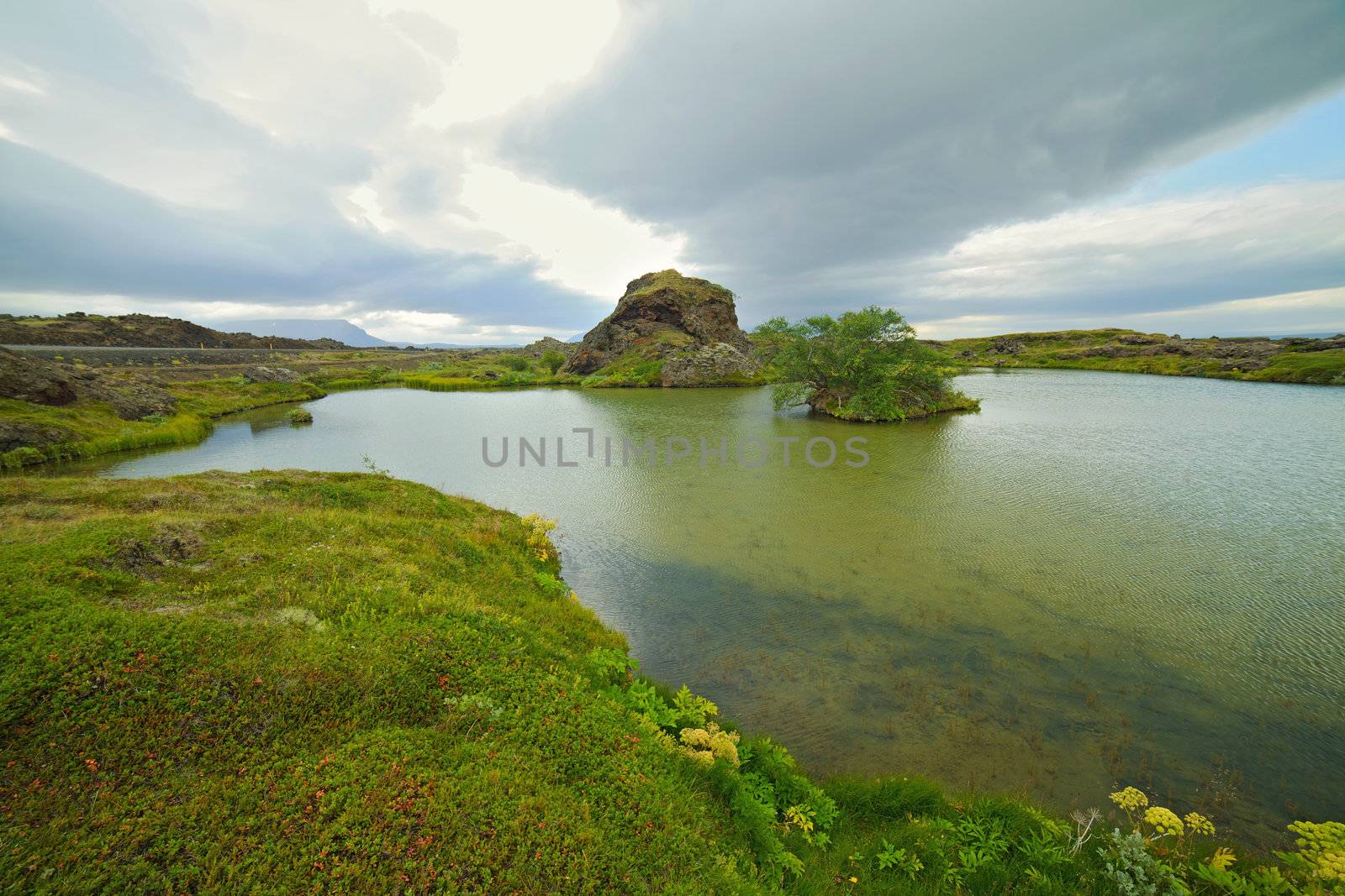 Iceland landscape at summer cloudy day. Mountain lake Myvatn.