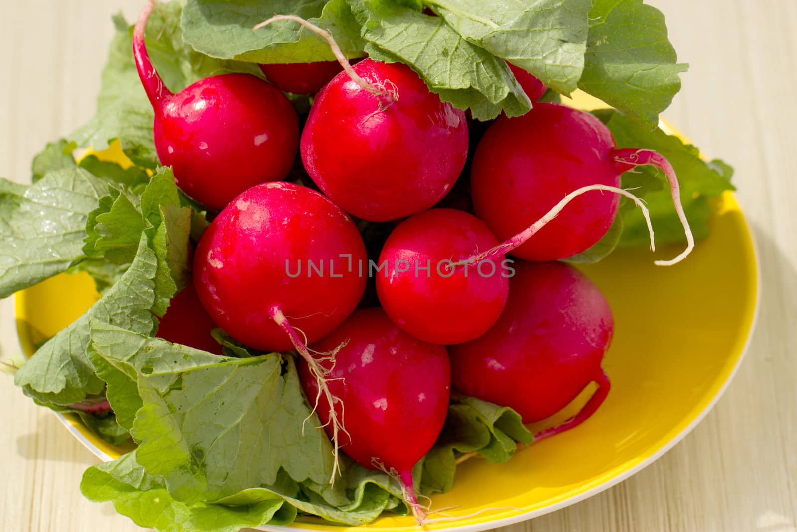 Bunch of radish on a wooden board