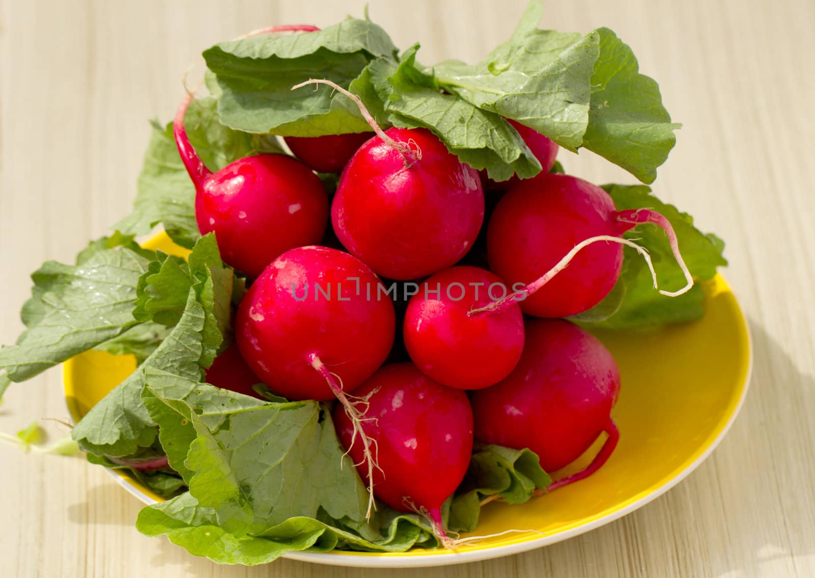 Bunch of radish on a wooden board