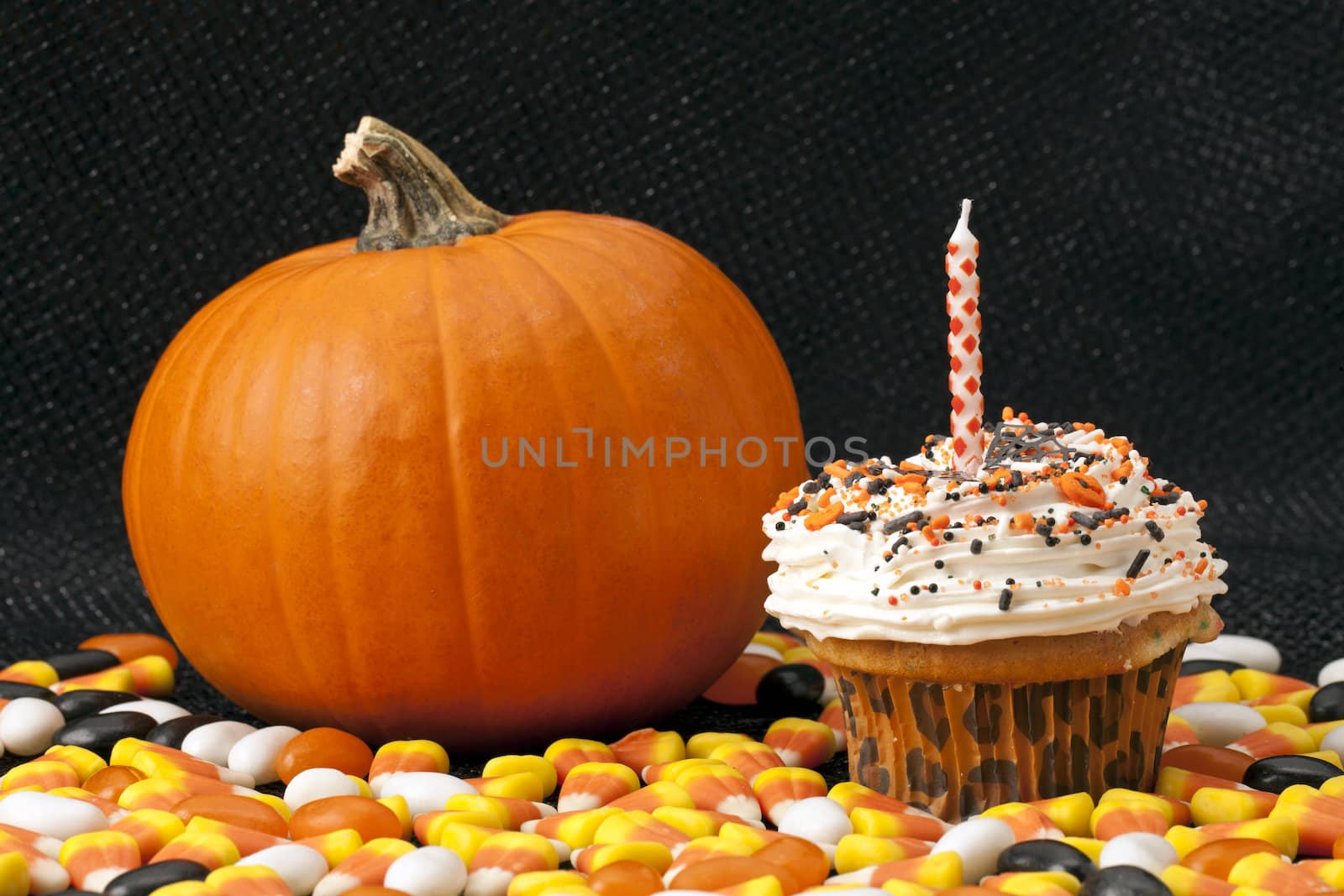delicious halloween  cupcake  with pumpkin by kozzi