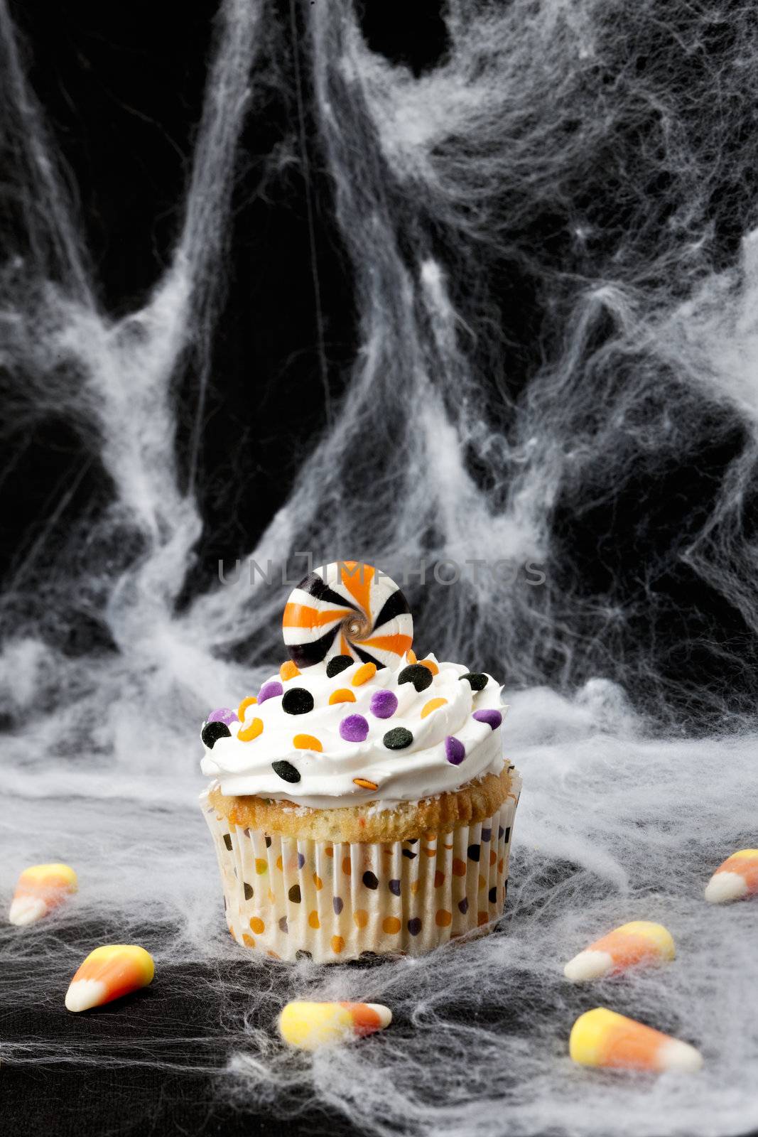 Halloween Cupcake on a spider web 