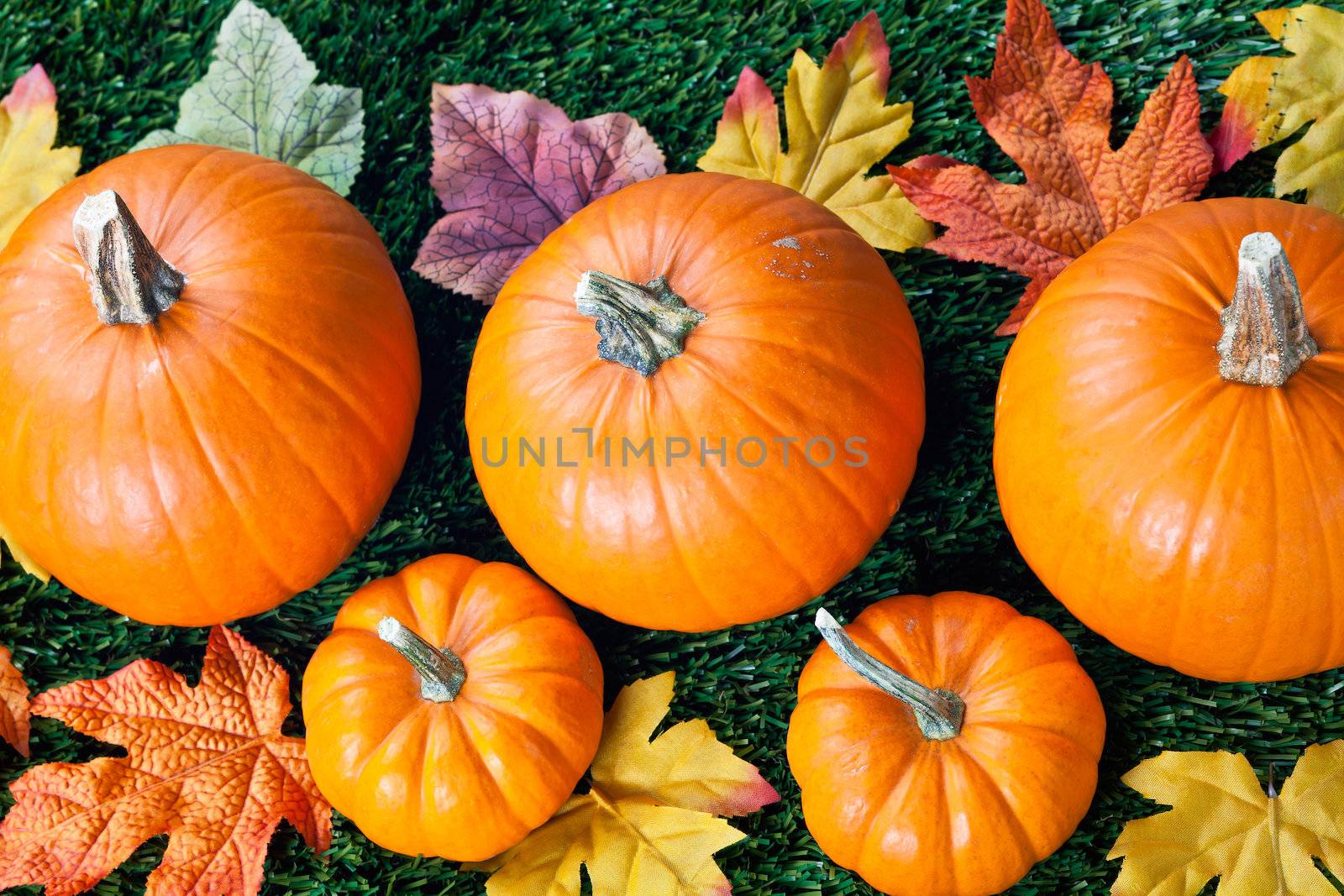 Overhead view of halloween pumpkins with autumn leaves arranged over grass.