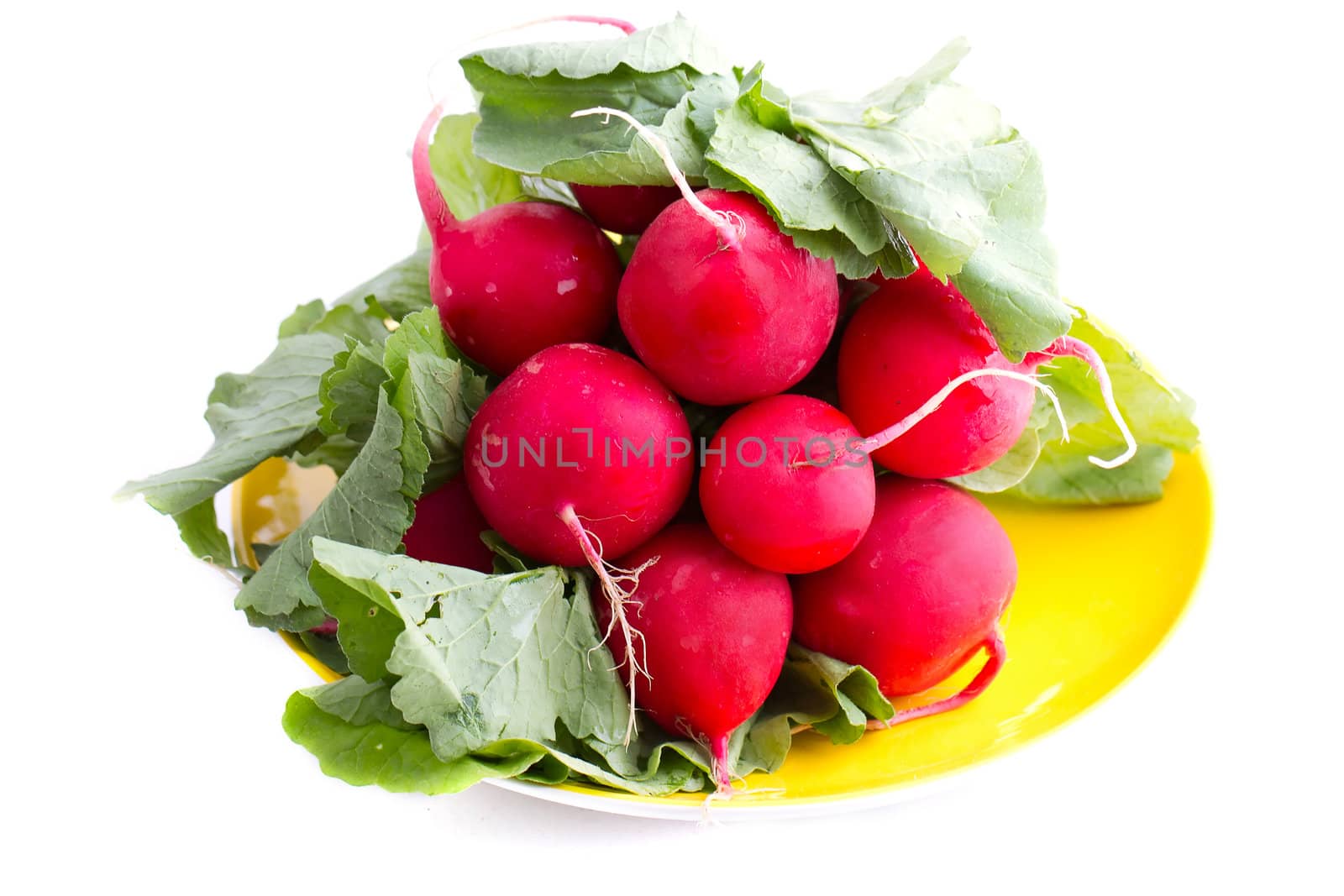 Bunch of radish isolated on white background