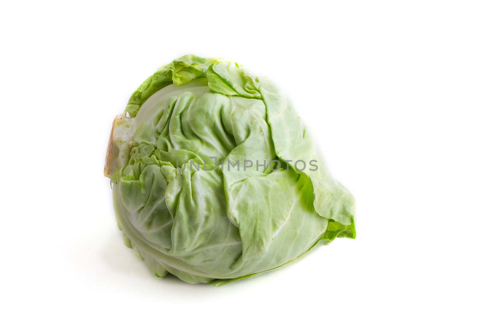 whole green cabbage isolated on white