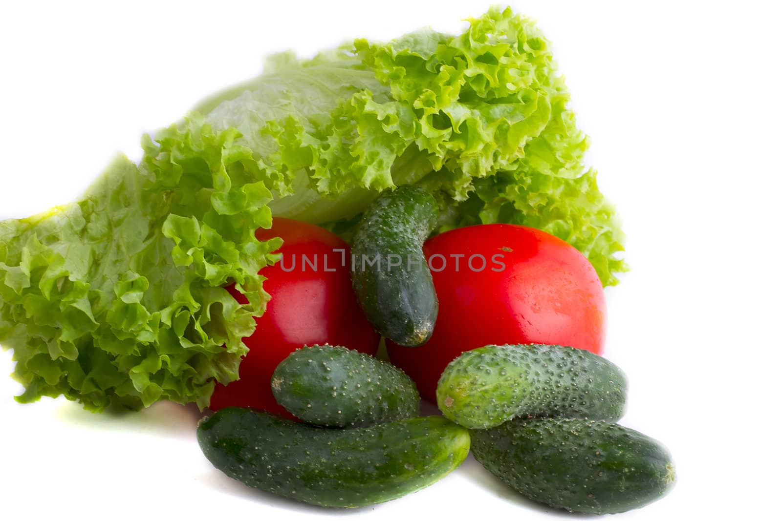 Tomatoes and lettuce, cucumberon the  white background