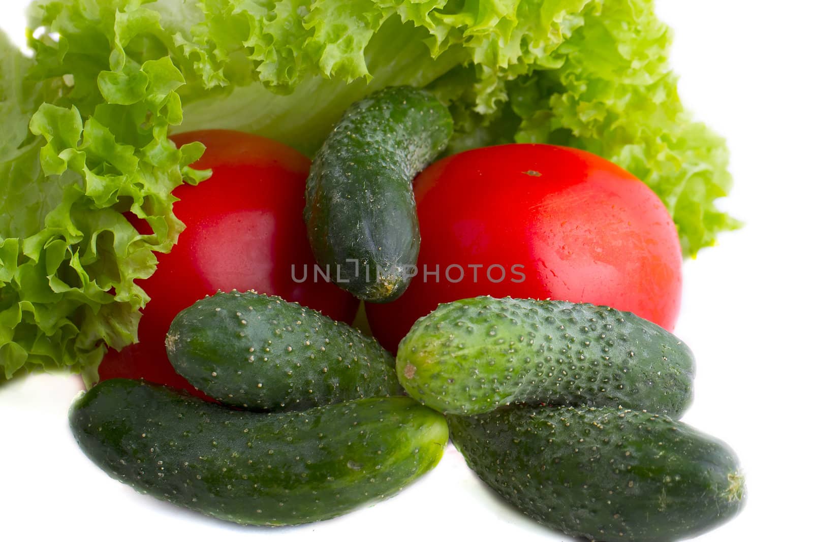 Tomatoes and lettuce, cucumberon the  white background