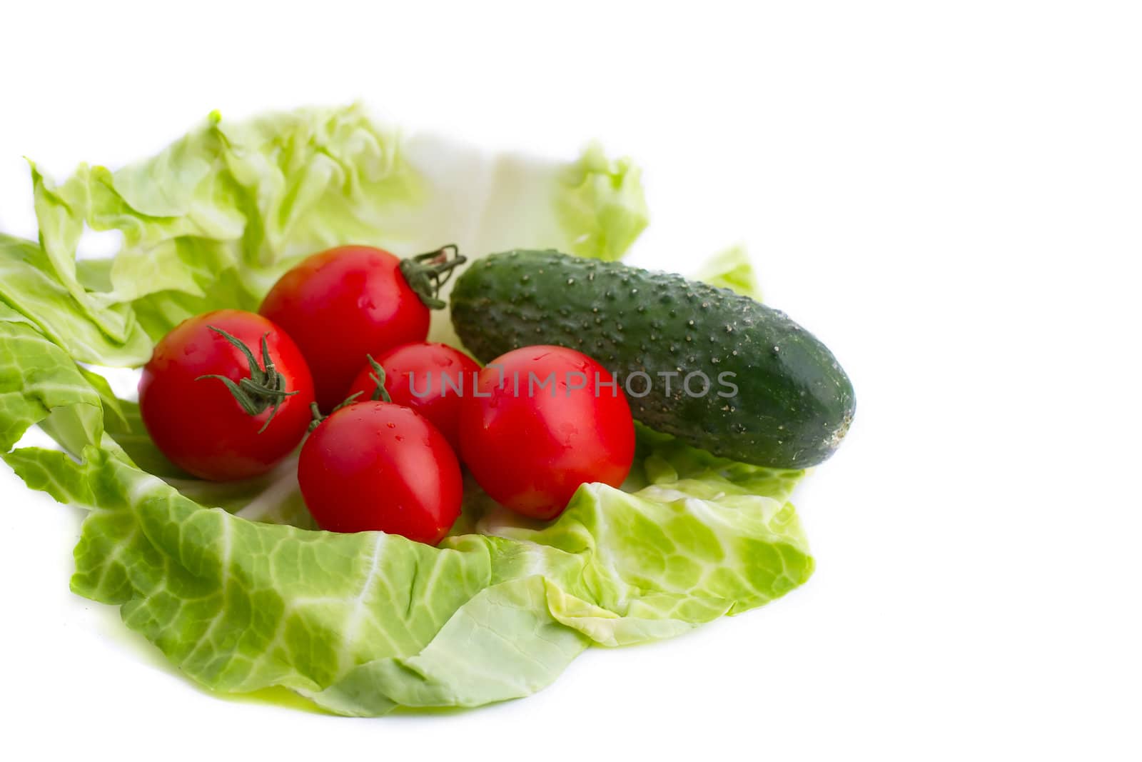 Tomatoes and cucumber are in the cabbage leaf. Isolated over white background