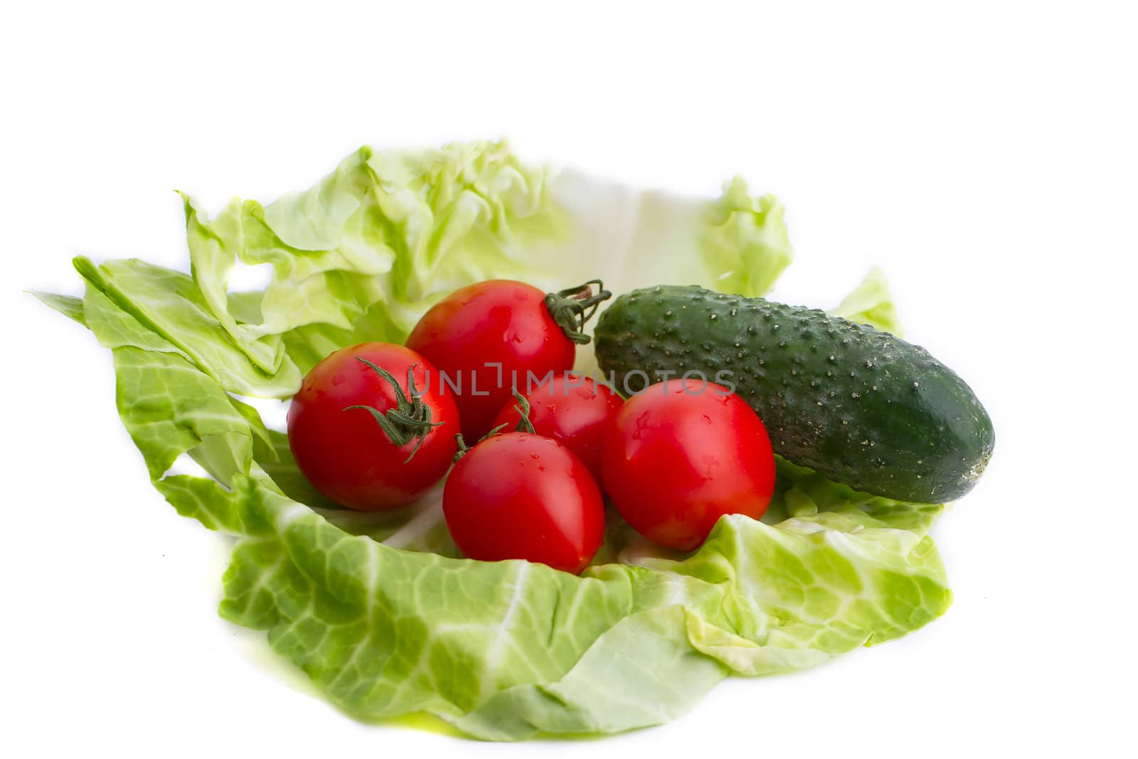 Tomatoes and cucumber are in the cabbage leaf. Isolated over white background