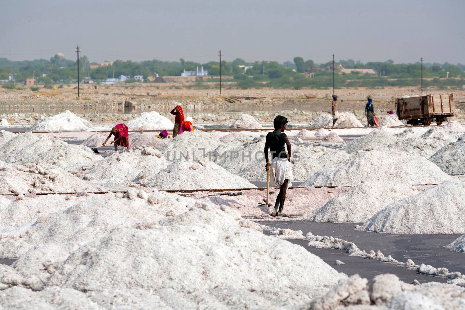 Salt works, Sambhar salt lake, Rajasthan, India by vladimir_sklyarov