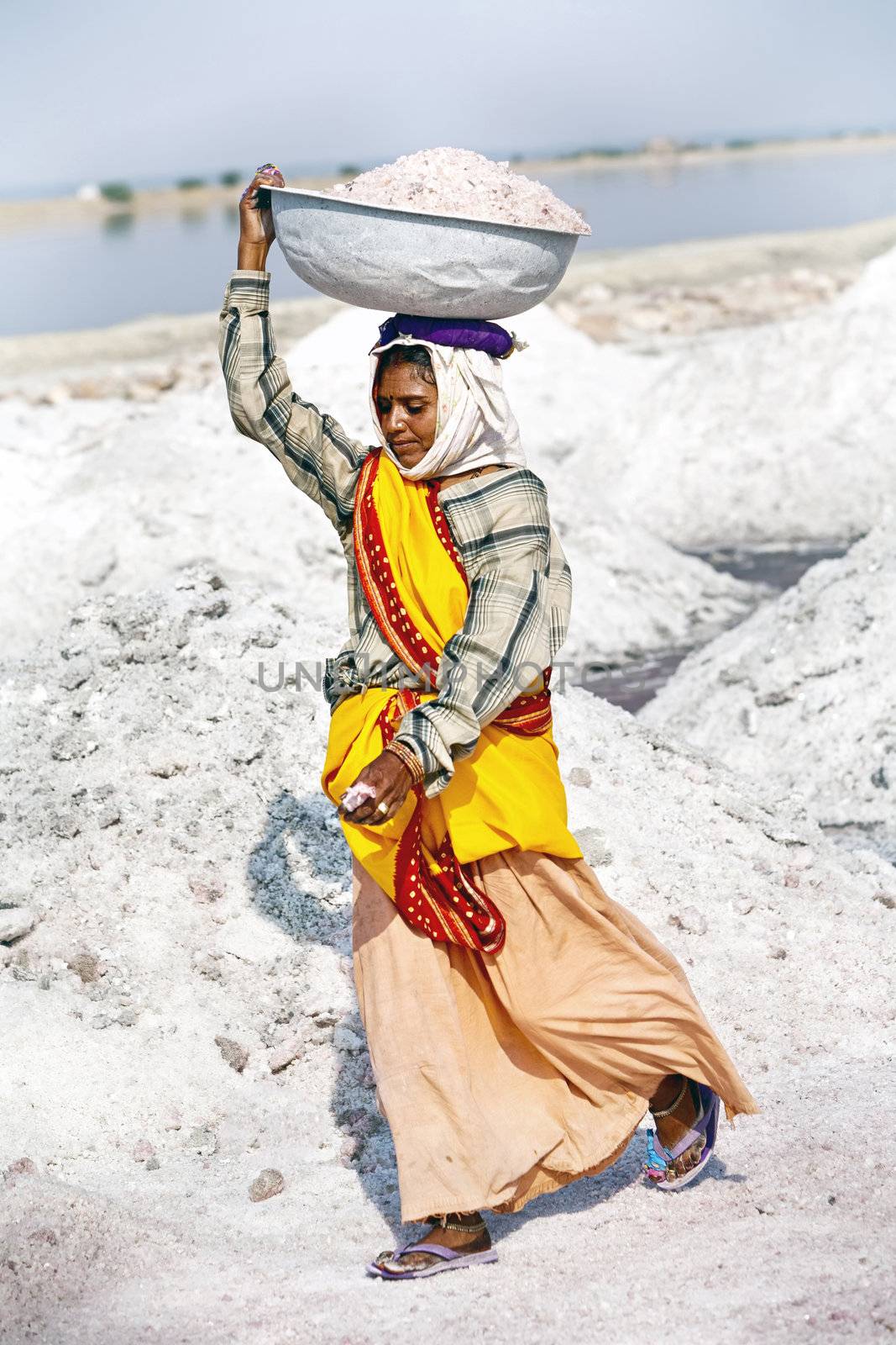 SAMBHAR LAKE TOWN-NOVEMBER 19: An unidentified Indian woman working on the salt farm, November 19, 2012, in Sambhar lake town, Sambhar salt lake, Rajasthan, India