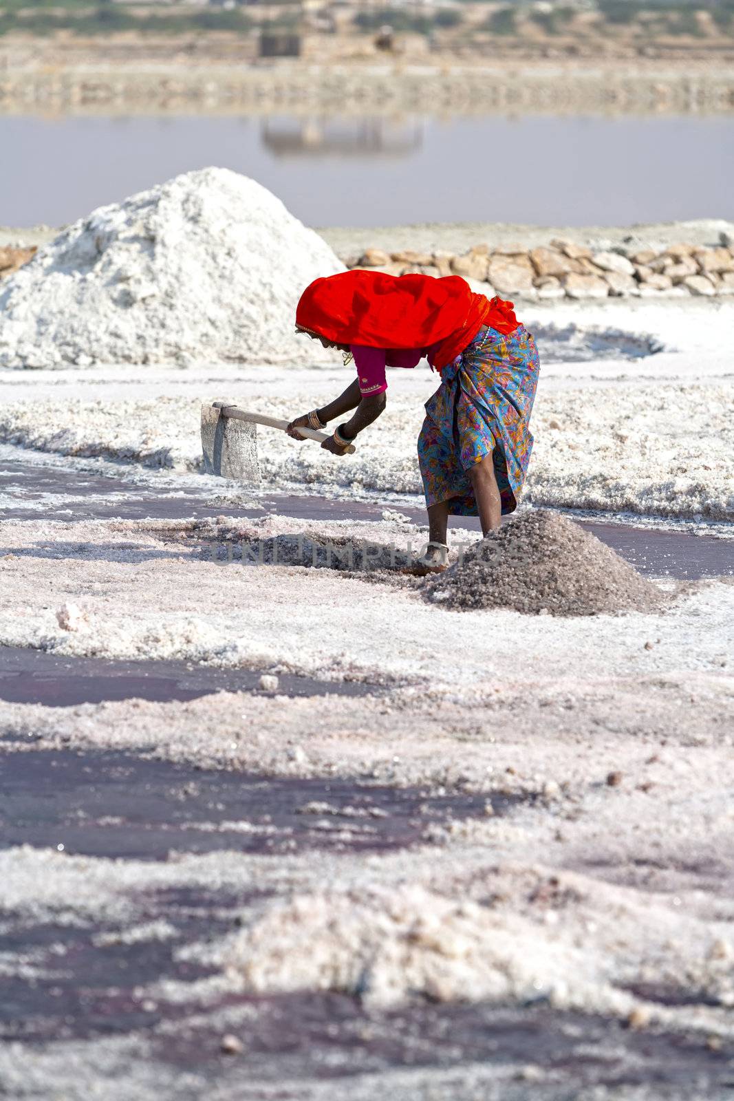 Salt works, Sambhar salt lake, Rajasthan, India by vladimir_sklyarov