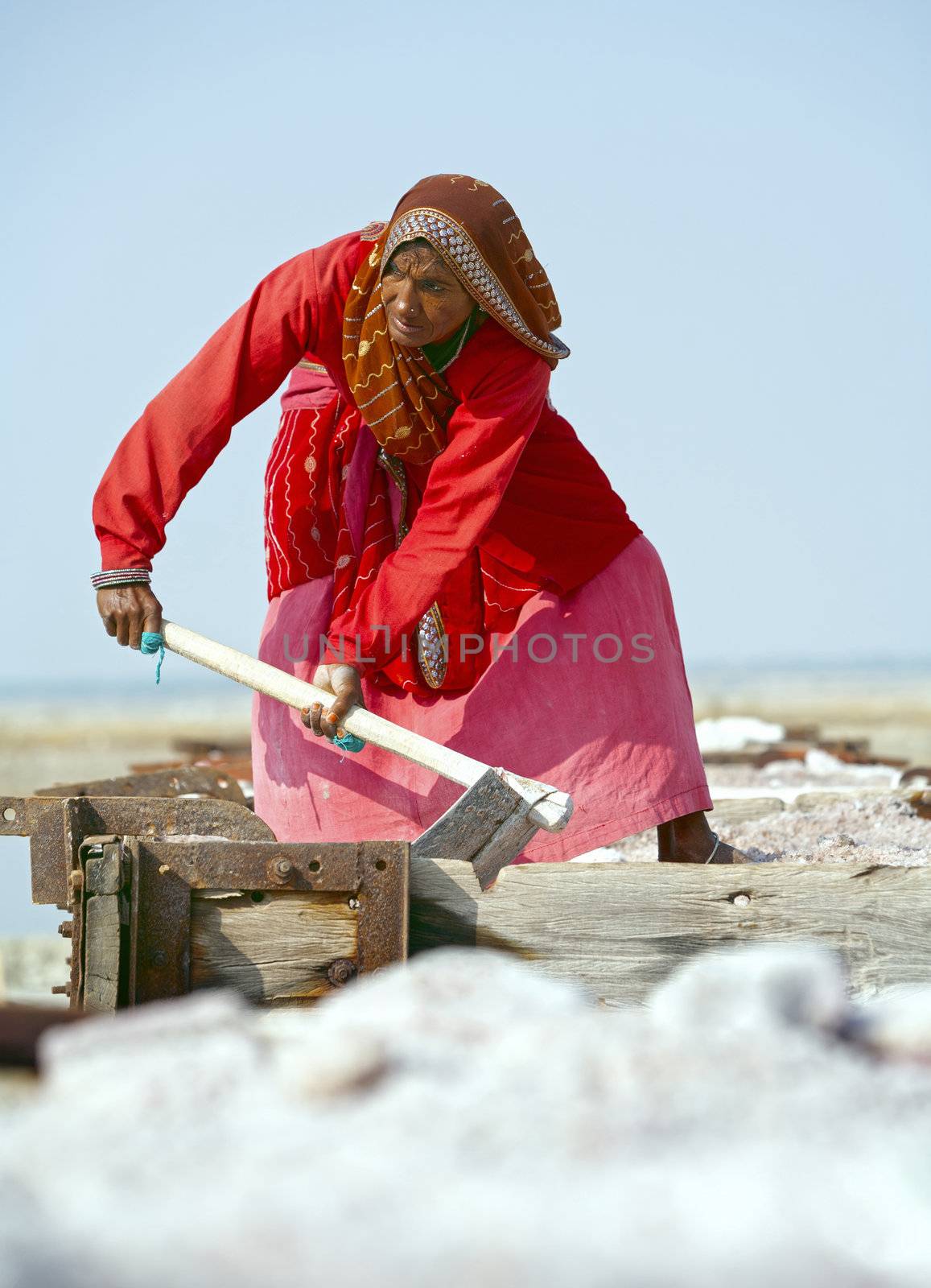 SAMBHAR LAKE TOWN-NOVEMBER 19: An unidentified Indian woman working on the salt farm, November 19, 2012, in Sambhar lake town, Sambhar salt lake, Rajasthan, India