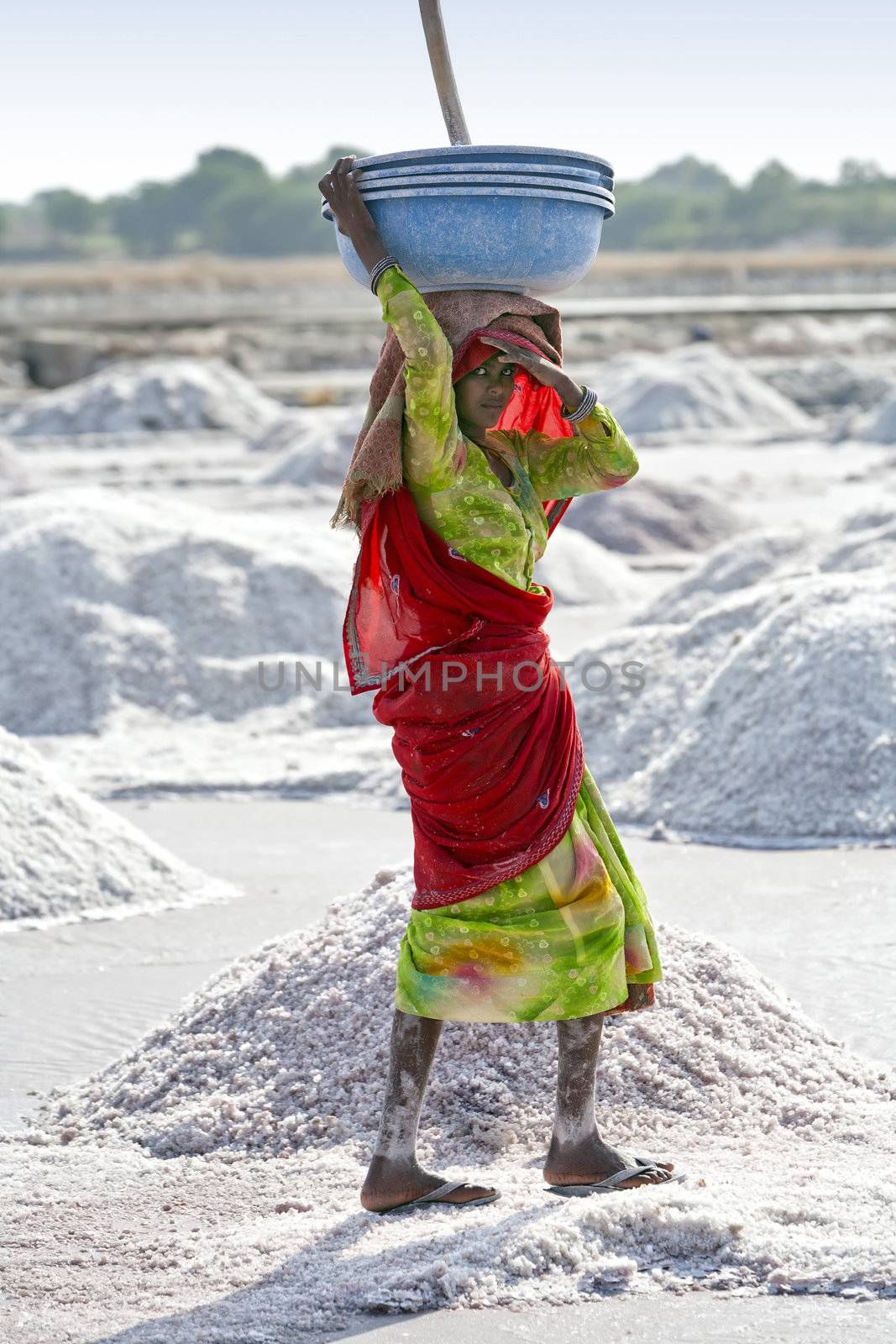 SAMBHAR LAKE TOWN-NOVEMBER 19: An unidentified Indian woman working on the salt farm, November 19, 2012, in Sambhar lake town, Sambhar salt lake, Rajasthan, India