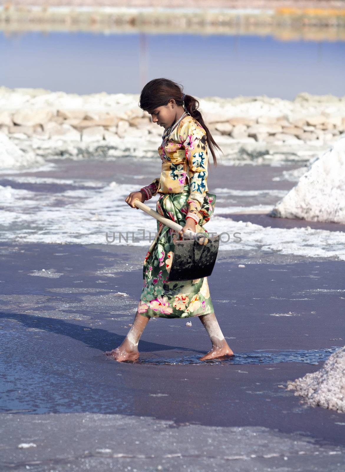 SAMBHAR LAKE TOWN-NOVEMBER 19: An unidentified Indian woman working on the salt farm, November 19, 2012, in Sambhar lake town, Sambhar salt lake, Rajasthan, India