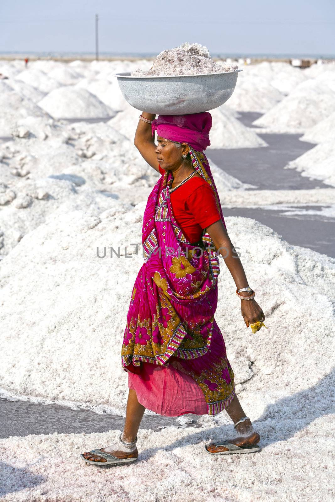 SAMBHAR LAKE TOWN-NOVEMBER 19: An unidentified Indian woman working on the salt farm, November 19, 2012, in Sambhar lake town, Sambhar salt lake, Rajasthan, India