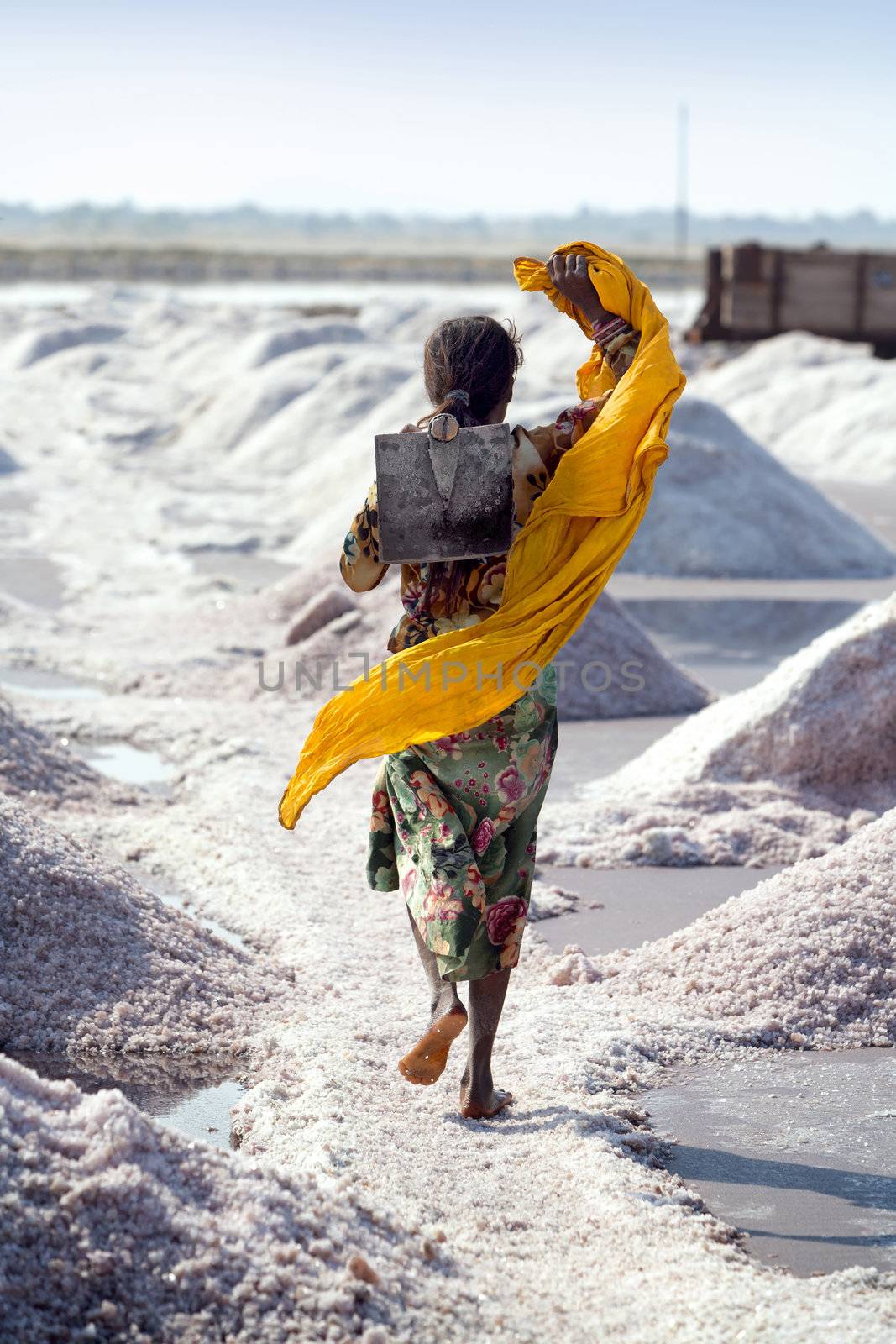 SAMBHAR LAKE TOWN-NOVEMBER 19: An unidentified Indian woman working on the salt farm, November 19, 2012, in Sambhar lake town, Sambhar salt lake, Rajasthan, India