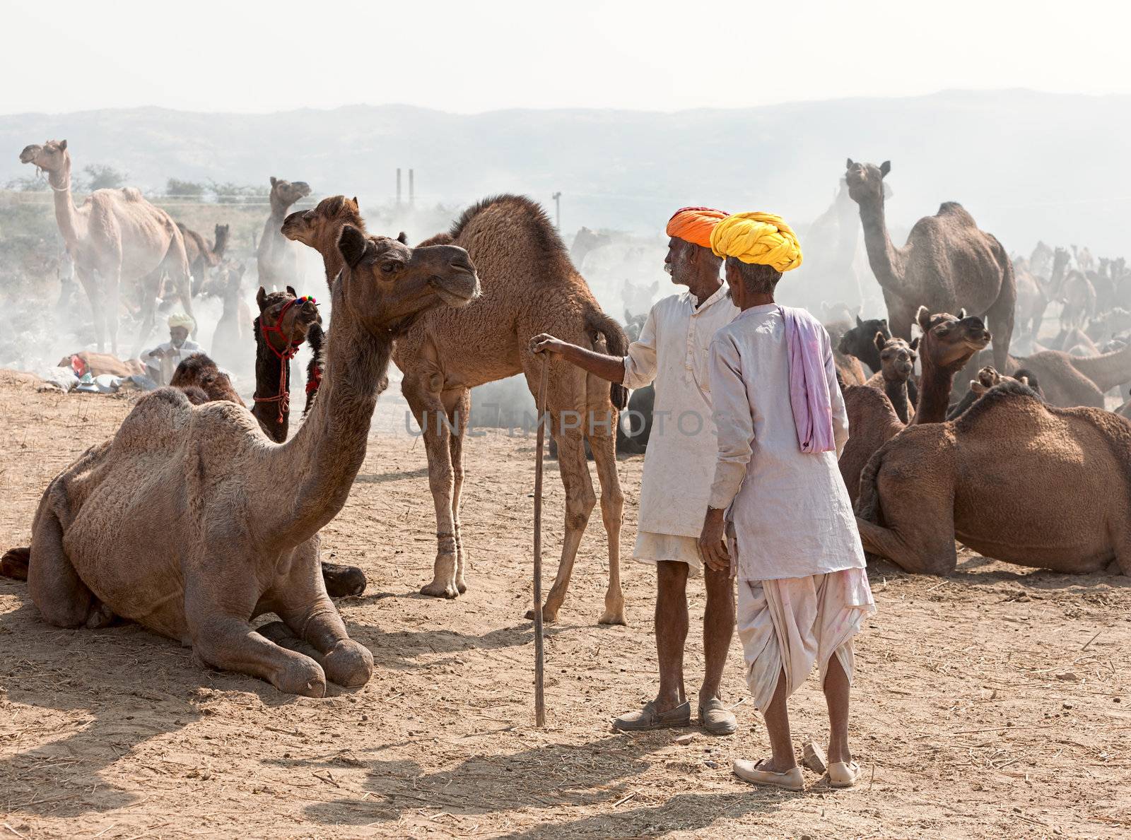 PUSHKAR, INDIA - NOVEMBER 21: An unidentified men attends the Pushkar fair on November 21, 2012 in Pushkar, Rajasthan, India. Farmers and traders from all over Rajasthan flock for the annual fair
