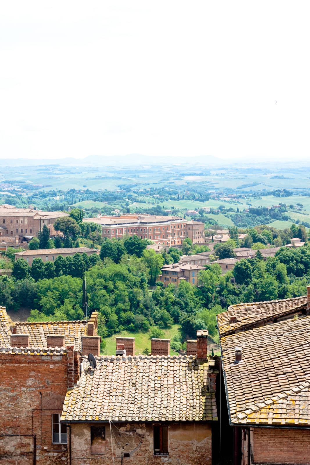 The view of Siena in summer day
