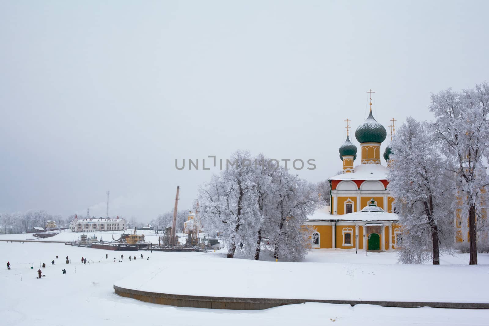 White trees and yellow church in winter in Uglich

