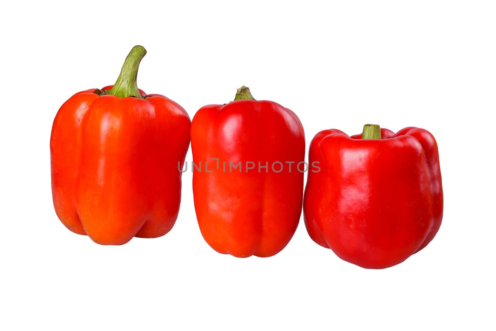 Three red, ripe bell pepper fruits (Capsicum annuum) in a row isolated against a white background
